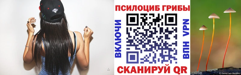 Галлюциногенные грибы Magic Shrooms  Палласовка 
